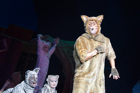 The magical story introduces a community of cats called the Jellicles who live at one corner of a trash dump. It enacts the night they make the “Jellicle Choice” that decides which cat will ascend to