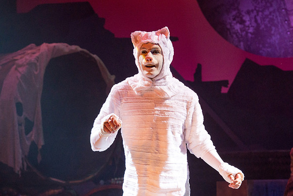 The magical story introduces a community of cats called the Jellicles who live at one corner of a trash dump. It enacts the night they make the “Jellicle Choice” that decides which cat will ascend to