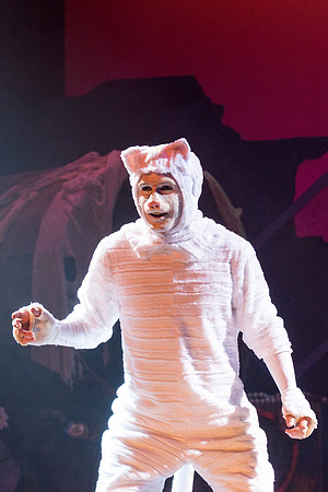 The magical story introduces a community of cats called the Jellicles who live at one corner of a trash dump. It enacts the night they make the “Jellicle Choice” that decides which cat will ascend to