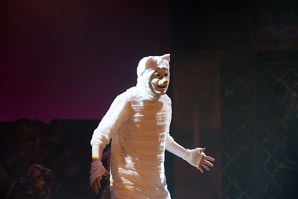 The magical story introduces a community of cats called the Jellicles who live at one corner of a trash dump. It enacts the night they make the “Jellicle Choice” that decides which cat will ascend to