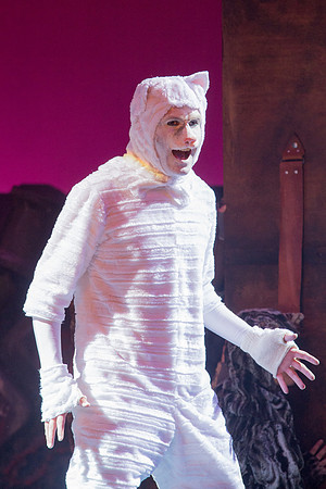 The magical story introduces a community of cats called the Jellicles who live at one corner of a trash dump. It enacts the night they make the “Jellicle Choice” that decides which cat will ascend to