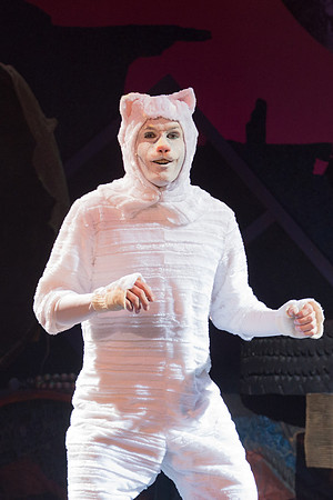 The magical story introduces a community of cats called the Jellicles who live at one corner of a trash dump. It enacts the night they make the “Jellicle Choice” that decides which cat will ascend to