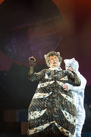 The magical story introduces a community of cats called the Jellicles who live at one corner of a trash dump. It enacts the night they make the “Jellicle Choice” that decides which cat will ascend to