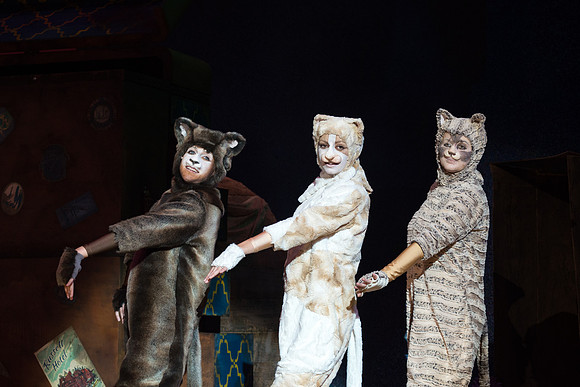 The magical story introduces a community of cats called the Jellicles who live at one corner of a trash dump. It enacts the night they make the “Jellicle Choice” that decides which cat will ascend to
