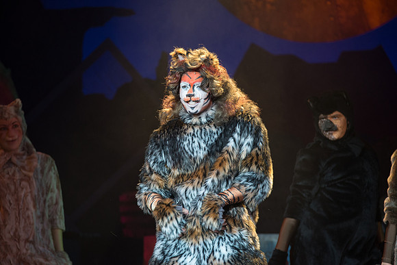 The magical story introduces a community of cats called the Jellicles who live at one corner of a trash dump. It enacts the night they make the “Jellicle Choice” that decides which cat will ascend to