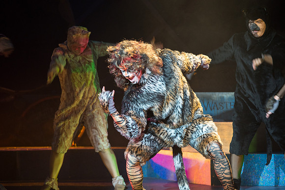 The magical story introduces a community of cats called the Jellicles who live at one corner of a trash dump. It enacts the night they make the “Jellicle Choice” that decides which cat will ascend to