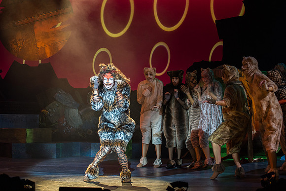 The magical story introduces a community of cats called the Jellicles who live at one corner of a trash dump. It enacts the night they make the “Jellicle Choice” that decides which cat will ascend to