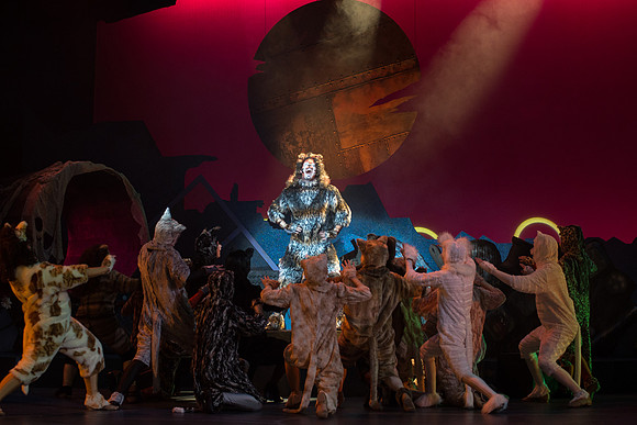 The magical story introduces a community of cats called the Jellicles who live at one corner of a trash dump. It enacts the night they make the “Jellicle Choice” that decides which cat will ascend to