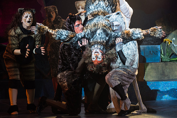 The magical story introduces a community of cats called the Jellicles who live at one corner of a trash dump. It enacts the night they make the “Jellicle Choice” that decides which cat will ascend to