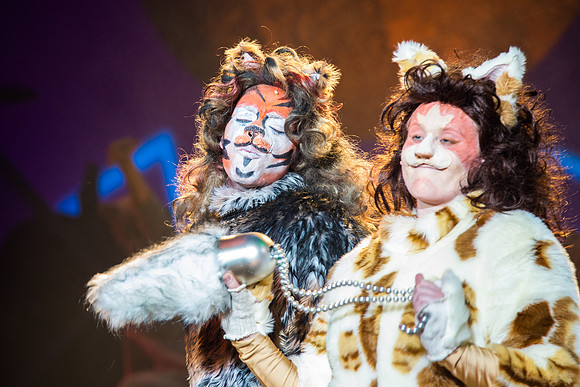 The magical story introduces a community of cats called the Jellicles who live at one corner of a trash dump. It enacts the night they make the “Jellicle Choice” that decides which cat will ascend to