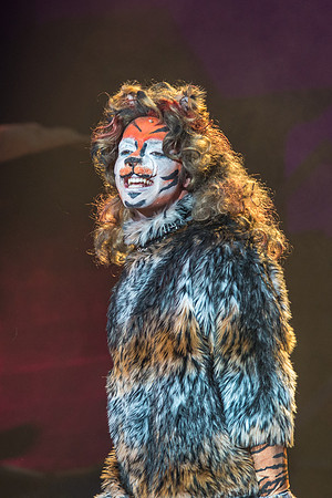 The magical story introduces a community of cats called the Jellicles who live at one corner of a trash dump. It enacts the night they make the “Jellicle Choice” that decides which cat will ascend to