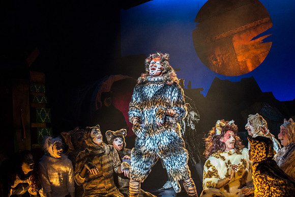 The magical story introduces a community of cats called the Jellicles who live at one corner of a trash dump. It enacts the night they make the “Jellicle Choice” that decides which cat will ascend to