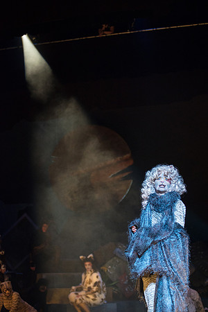 The magical story introduces a community of cats called the Jellicles who live at one corner of a trash dump. It enacts the night they make the “Jellicle Choice” that decides which cat will ascend to