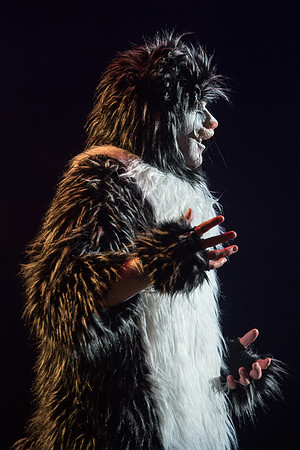 The magical story introduces a community of cats called the Jellicles who live at one corner of a trash dump. It enacts the night they make the “Jellicle Choice” that decides which cat will ascend to
