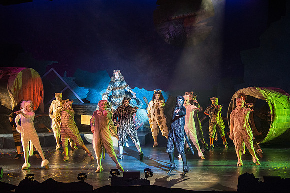 The magical story introduces a community of cats called the Jellicles who live at one corner of a trash dump. It enacts the night they make the “Jellicle Choice” that decides which cat will ascend to