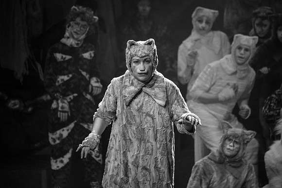The magical story introduces a community of cats called the Jellicles who live at one corner of a trash dump. It enacts the night they make the “Jellicle Choice” that decides which cat will ascend to