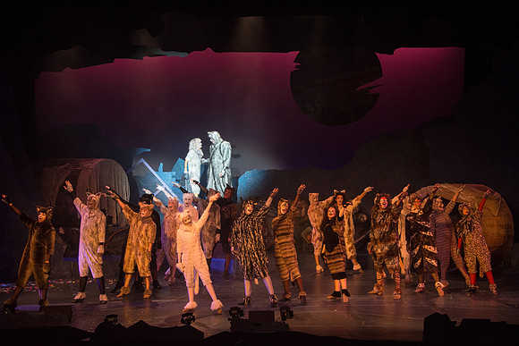 The magical story introduces a community of cats called the Jellicles who live at one corner of a trash dump. It enacts the night they make the “Jellicle Choice” that decides which cat will ascend to