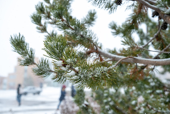 Students in the Snow - Jan 2026