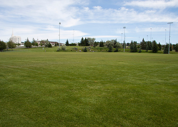 upper fields
