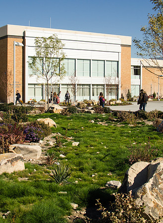 The Taylor Quad pictured with the Manwaring Center in the background.
