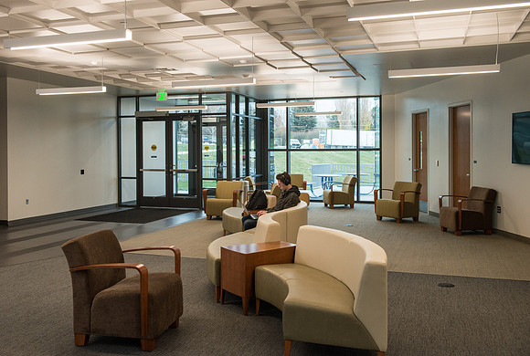 Study Area