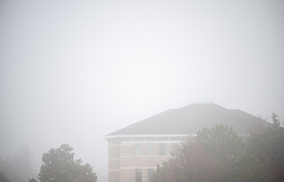 Foggy Campus - Feb 2026