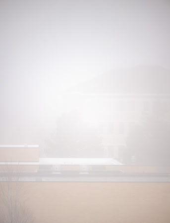 Foggy Campus - Feb 2026