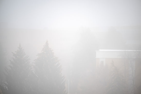 Foggy Campus - Feb 2026