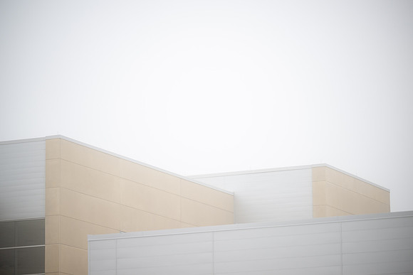 Foggy Campus - Feb 2026