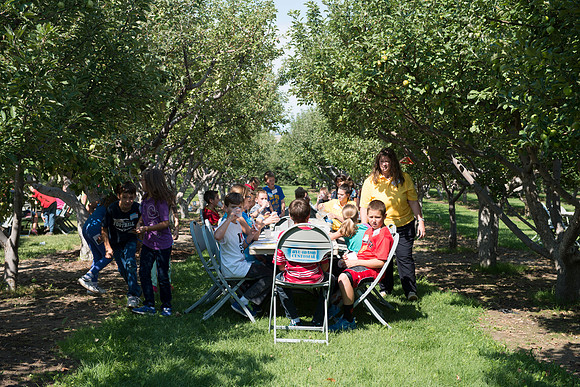 Tree of Vision class takes youth of ages on a spiritual learning journal.