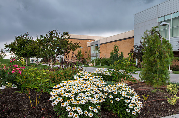 Beautiful bed of flowers outside the Manwaring center with a storm brewing in the background.