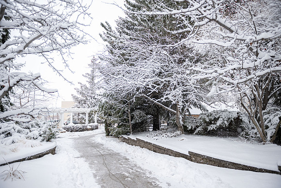 Snowfall on Campus - Feb 2026
