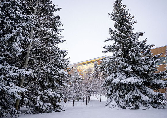 Snowfall on Campus - Feb 2026