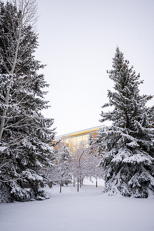 Snowfall on Campus - Feb 2026