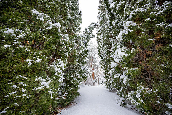 Snowfall on Campus - Feb 2026