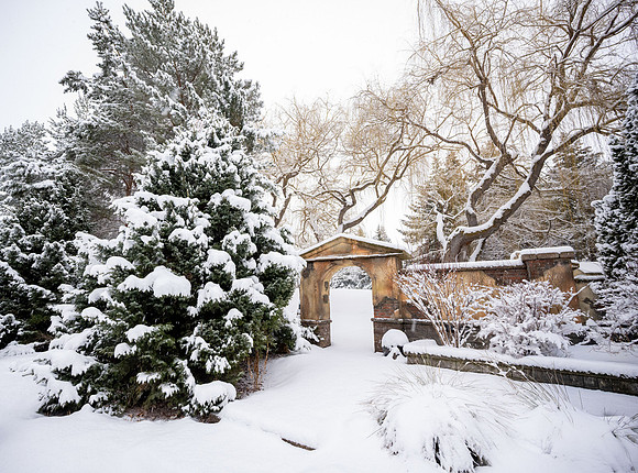 Snowfall on Campus - Feb 2026