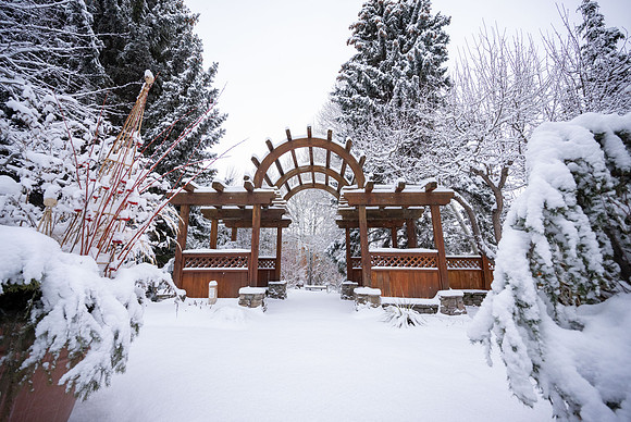 Snowfall on Campus - Feb 2026