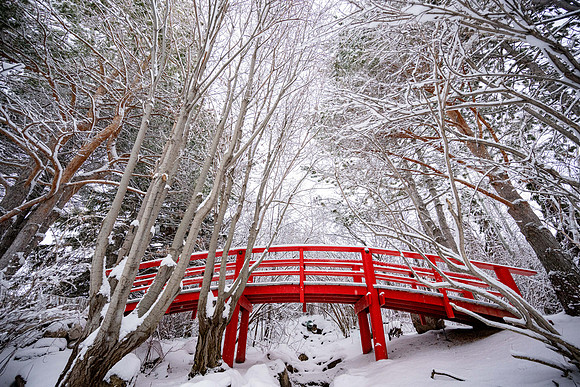 Snowfall on Campus - Feb 2026