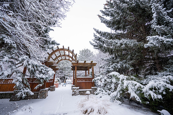 Snowfall on Campus - Feb 2026