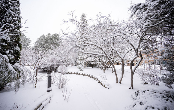 Snowfall on Campus - Feb 2026