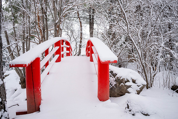 Snowfall on Campus - Feb 2026