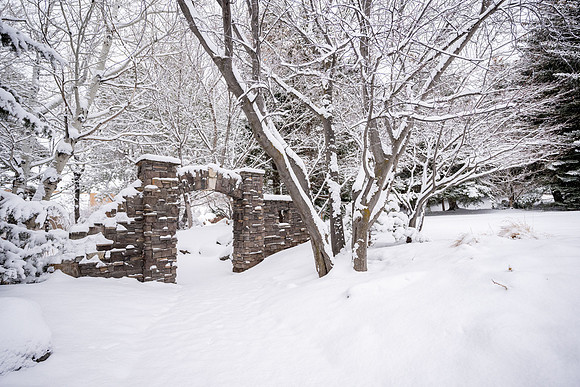 Snowfall on Campus - Feb 2026