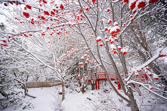 Snowfall on Campus - Feb 2026