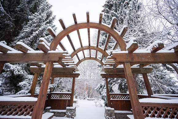 Snowfall on Campus - Feb 2026