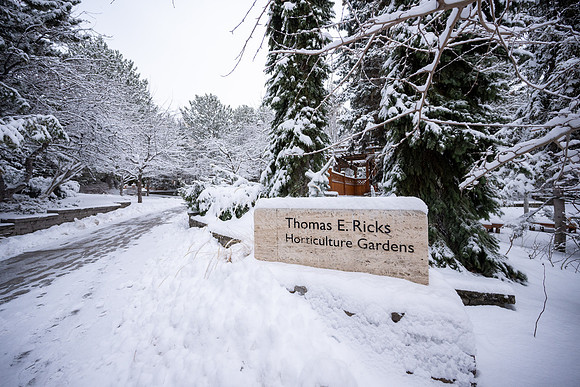Snowfall on Campus - Feb 2026