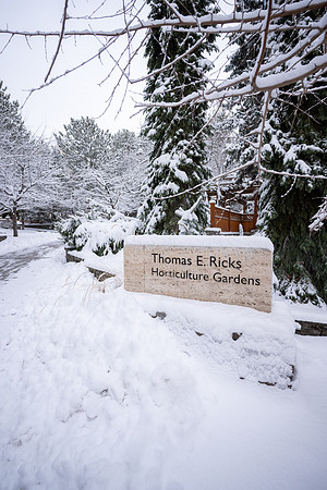 Snowfall on Campus - Feb 2026