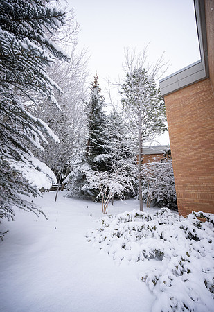 Snowfall on Campus - Feb 2026