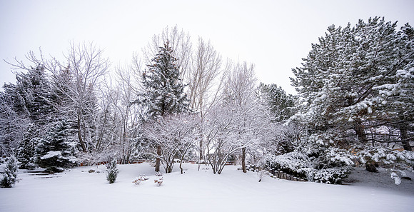 Snowfall on Campus - Feb 2026