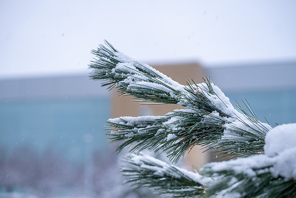 BYUI Snow - Feb 2026