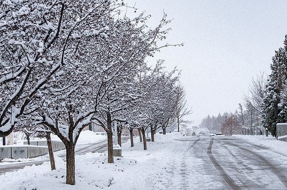 BYUI Snow - Feb 2026